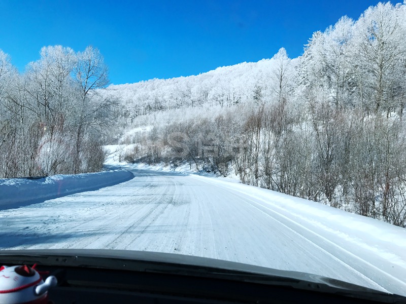 2018年的第一場雪，在北國雪山的恰好時綠卻生機盎然！